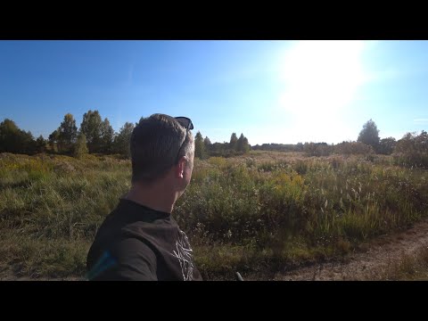 Видео: На даче последние теплые деньки