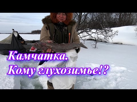 Видео: Рыбалка на Камчатке  Кому глухозимье, а кому !!!