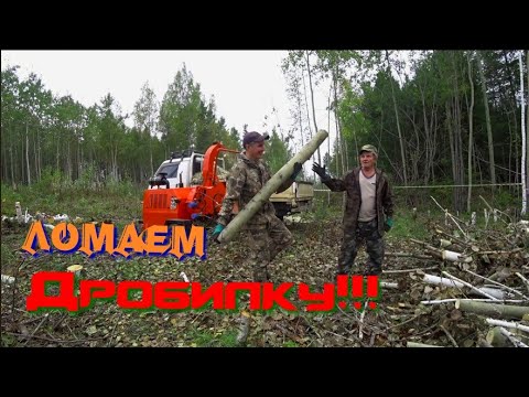 Видео: ЭТОТ АППАРАТ!!! РАЗНОСИТ ПЕНЬКИ В ЩЕПКИ!!! ЗАГОТОВКА ДРОВ НА ЗИМУ!!!!!