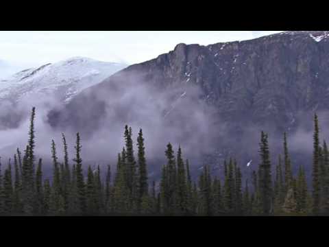 Видео: Что такое медитация | Уроки медитации для начинающих