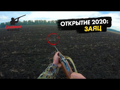 Видео: Открытие сезона 2020/ Охота на зайца на Кубани