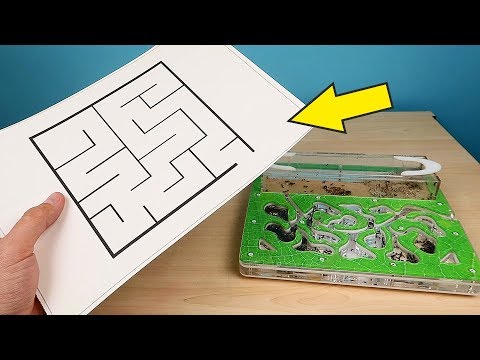 Видео: Что если запустить Муравья в нарисованный лабиринт? alex boyko