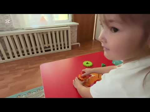 Видео: 24 сентября 2025 г.