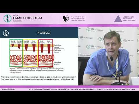 Видео: Эндоскоп. диагностика прекурсоров и ранних раков ЖКТ и методика выполнения эндоскопической диссекции