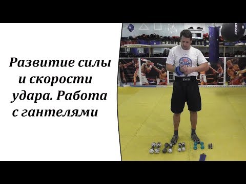 Видео: Развитие силы и скорости удара. Работа с гантелями.