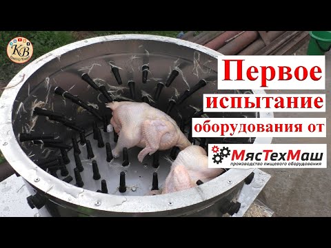 Видео: Испытываем оборудования от МясТехМаш // Перосъемная машина МТМ-600А и шпарчан МТМ-60.