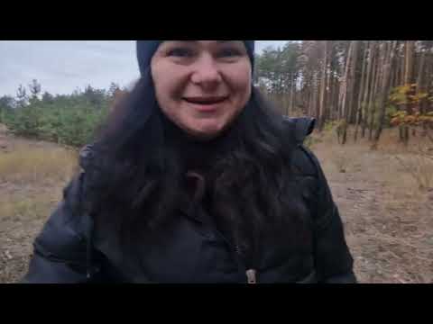 Видео: По грибы с Алёной 