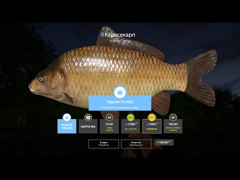 Видео: Вечерний СТРИМ Русская Рыбалка 4 Проверка ФАРМА Серы На Медном И не ТОЛЬКО ! КОПИМ серебро На ВЕНГИ!