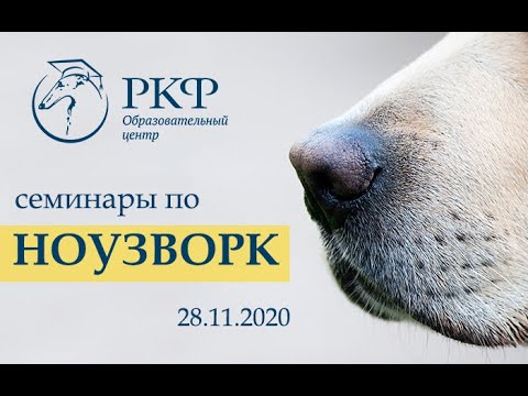 Видео: Семинар по дисциплине "Ноузворк" для любителей