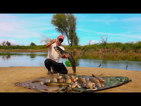 Видео: Рыбалка на реке КАРАТАЛ! САЗАН ПОПЕР!!! Фрикционы жужат закидушки трещат РОЗЫГРЫШ УДИЛИЩ! ЧАСТЬ 2