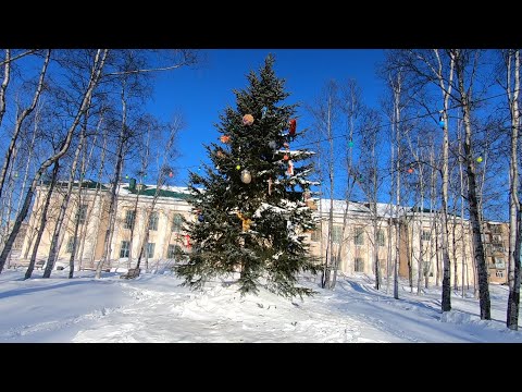 Видео: Монгохто✈   Прогулка 11 января 2025 года🎄❄👋🎅