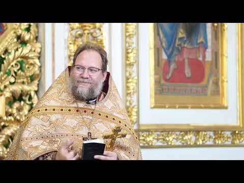 Видео: "Порождения ехидны" и хула на Духа Святаго