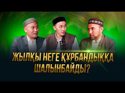 Видео: Жылқы неге құрбандыққа шалынбайды