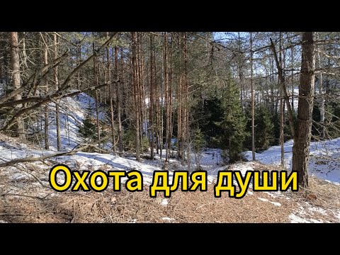 Видео: Охота в тайге в районе центральной избы быт у костра