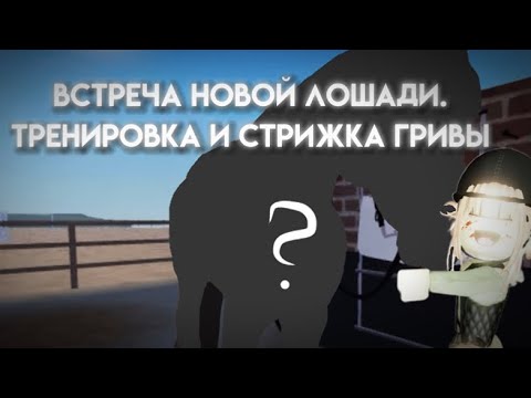 Видео: ★ ТРЕНИРОВКА  ★ Maple Springs eventing roblox  ★Vlog RRP  ★
