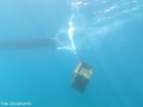 Видео: Чистење на Охридското езеро од цврст отпад