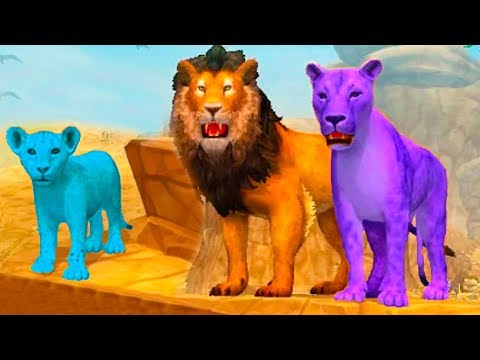 Видео: СИМУЛЯТОР ДИКОЙ КОШКИ #21 Новый СИМ ЛЬВА с Кидом на #ПУРУМЧАТА
