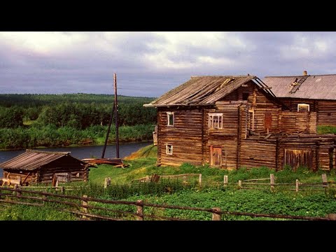 Видео: Моя Жизнь в Тайге - Медведи, Волки, Деревня. Первые Боровики. Рыбалка на ручье. Морошка, Иван Чай.