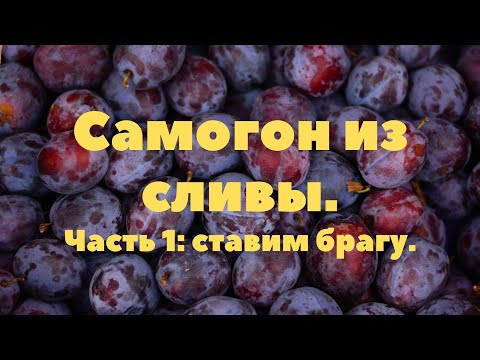 Видео: Часть 1 Самогон из  сливы,  ставим брагу