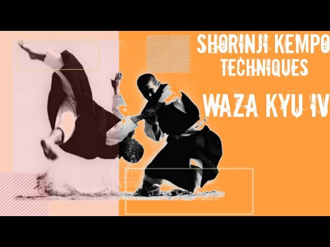 Видео: ВАЗА КЮ IV || СЁРИНДЗИ КЕМПО || ТЕХНИКИ