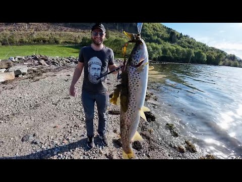 Видео: ФОРЕЛЬ ПОШЛА! Ловля форели в Норвегии