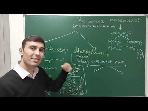 Видео: Эволюция. Микроэволюция. Макроэволюция. Исботи эволюция. Роххои эволюция. Шаклхои эволюция.