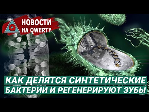 Видео: Размножение искусственных бактерий, регенерация зубов, охлаждение антивещества. Новости QWERTY №166