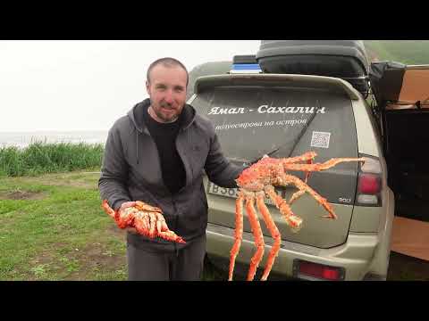 Видео: Остров Сахалин