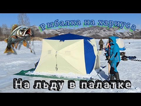 Видео: Рыбалка на хариуса. Ночевка на льду!