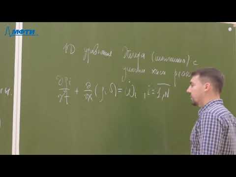 Видео: Модель Зельдовича-Неймана-Деринга детонационной волны. ZND detonation model.