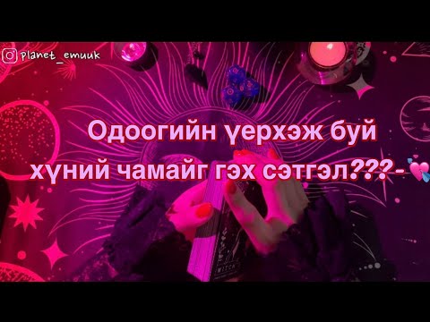 Видео: Одоо үерхэж буй хүний чамайг гэх сэтгэл♥️хэлэхийг хүсдэг үгс???