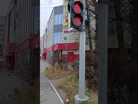 Видео: ПЫТАЮСЬ НАЛАДИТЬ МОЮ ЖИЗНЬ‼️ЕДУ В НАЛОГОВУЮ‼️🎃