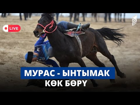 Видео: Ынтымак - Мурас | Көк бөрү | Президенттин Кубогу - 2023