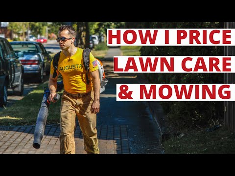 Видео: Я заработал 100 долларов в час, стригая траву... Но все равно предпочитаю солнцезащитные очки из ...