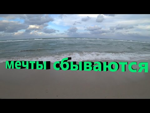 Видео: Мы на океане бросаем монетки #miami #usa