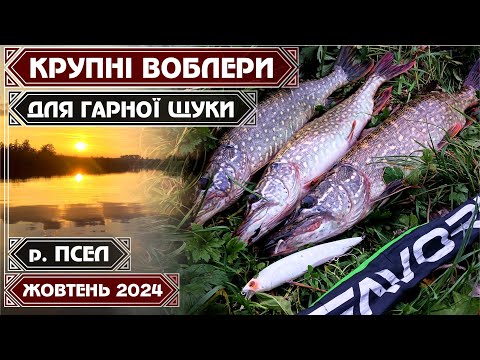 Видео: ЩУКА ДУРІЄ від ВЕЛИЧЕЗНИХ ВОБЛЕРІВ та ВИСТРИБУЄ за ними НАД ВОДОЮ! Осінній ЖОР! РІВНОМІРКА РУЛИТЬ!