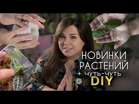 Видео: СНОВА НОВЫЕ ЦВЕТЫ и не только