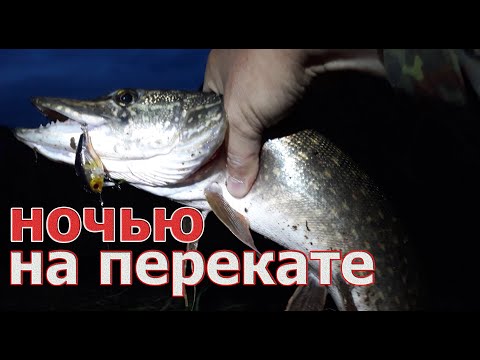 Видео: ЭТА ПРИМАНКА - НАХОДКА для ЗАКОРЯЖЕННЫХ МЕСТ. Недорогой уловистый кренк на щуку, язя, голавля.