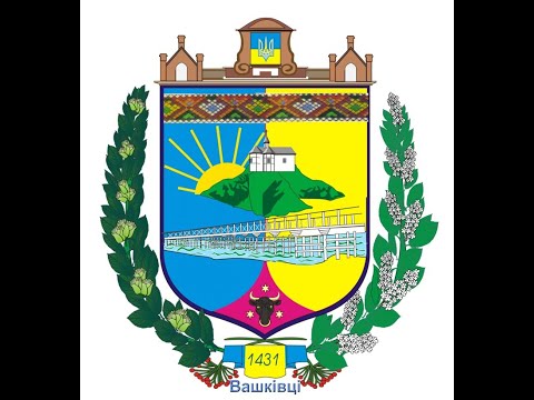 Видео: Вашківці день міста-2025.