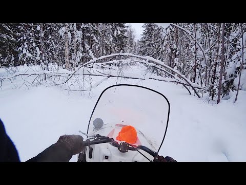 Видео: Купил МЕЧТУ Браконьера