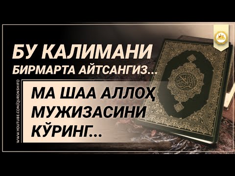 Видео: МУЖИЗАВИЙ КАЛИМАЛАР, БИЛИБ ОЛИНГ ВА УЛАШИНГ! @SAJDAMEDIA