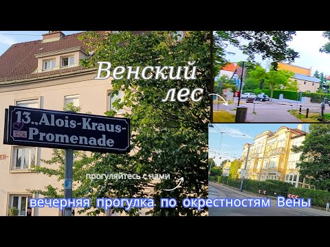 Видео: Первые дни в Австрии: хостел для беженцев. Гуляем по окрестностям Вены, нашли шкаф с книжками