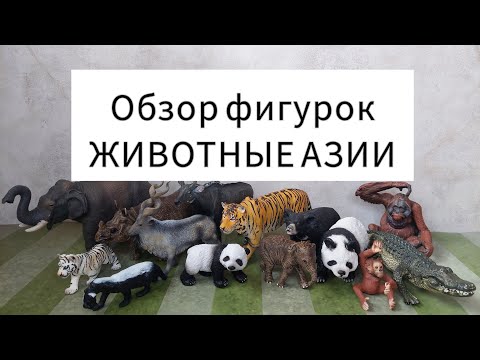 Видео: Реалистичные фигурки ЖИВОТНЫХ АЗИИ