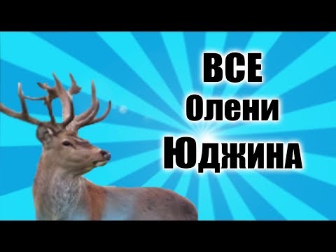 Видео: ВСЕ ОЛЕНИ ЮДЖИНА