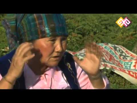 Видео: Киіз басу, текемет жасау өнерін білесіз бе?