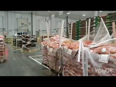 Видео: С юга, домой, в Сибирь. Холодно... 😉