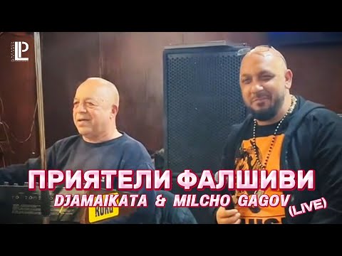 Видео: КЪДЕ СТЕ ПРИЯТЕЛИ ФАЛШИВИ? - DJAMAIKATA & MILCHO GAGOV (LIVE)