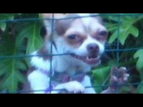 Видео: Родственница