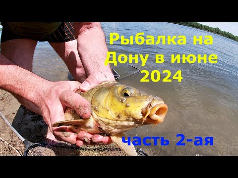 Видео: Рыбалка на Дону в июне 2024! часть 2-ая