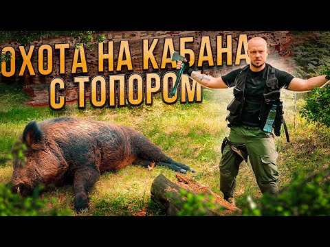 Видео: шоу ОХОТА на Кабана Гиганта 🔥 Опасная охота с Серегой Штык 🔥 кино КИОМЕДИЯ 🔥 приколы юмор смешно 🔥